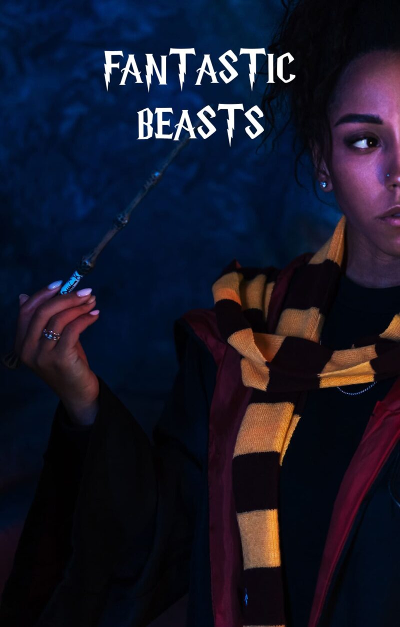 Guía del Mago sobre Animales Fantásticos - Imagen 2