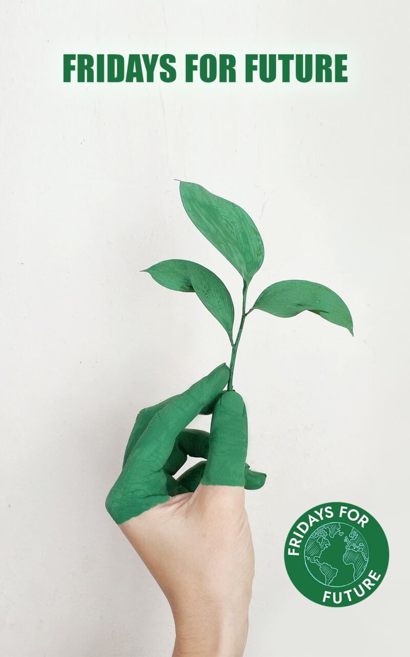 Fridays for Future